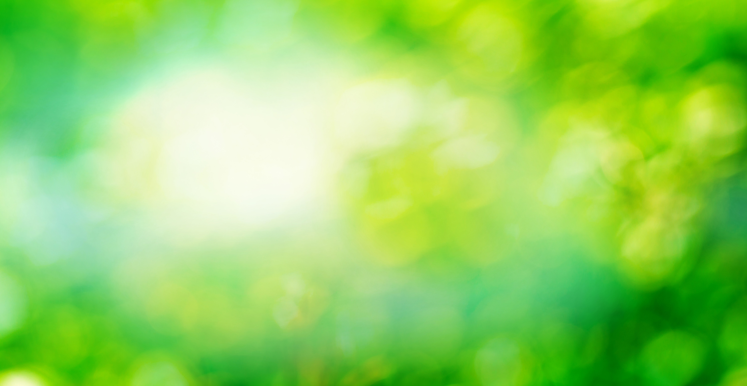 Green Natural Environment Background Concept