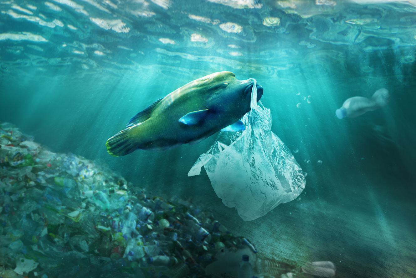 Fish Carrying Plastic Bag Underwater 